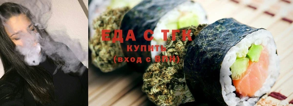 индика Вяземский