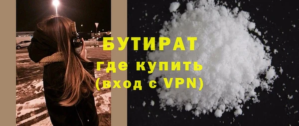 индика Вяземский