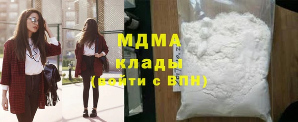 индика Вяземский