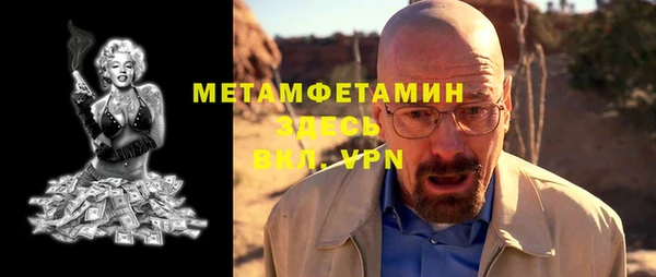 индика Вяземский