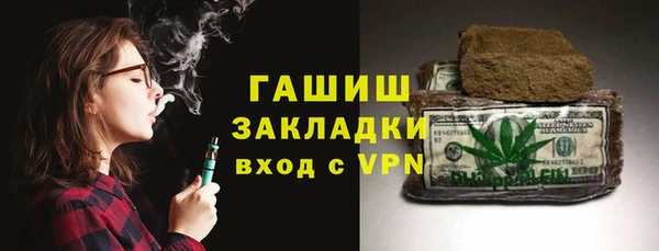 индика Вяземский