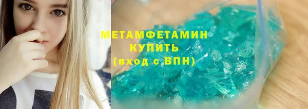 индика Вяземский