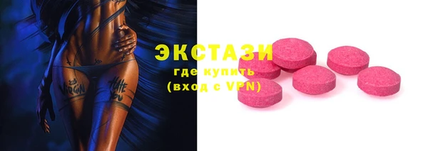 индика Вяземский