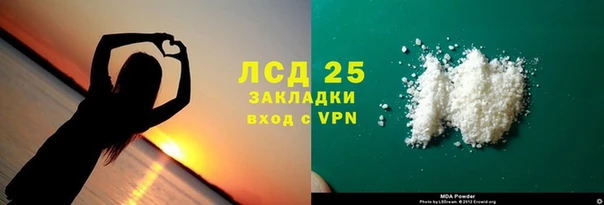 индика Вяземский