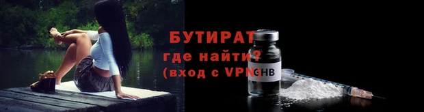 индика Вяземский