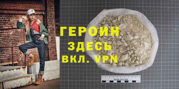индика Вяземский