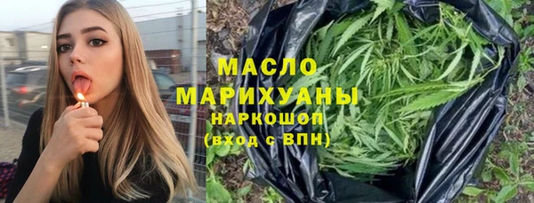 индика Вяземский