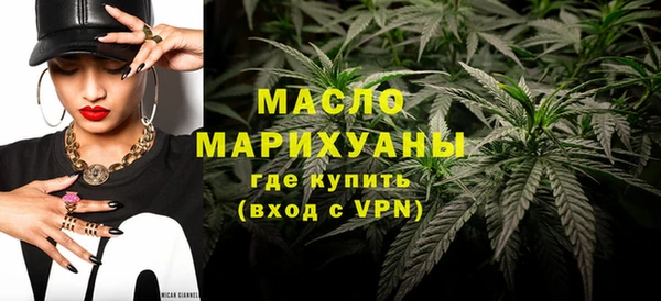 индика Вяземский