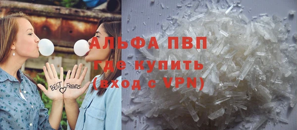индика Вяземский