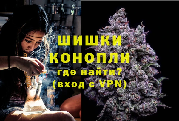 индика Вяземский
