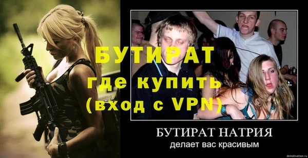 индика Вяземский