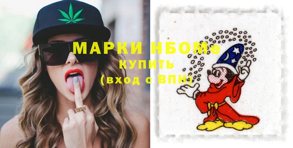 индика Вяземский