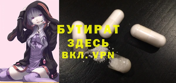 индика Вяземский