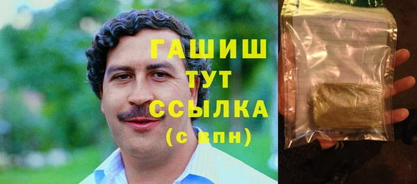 индика Вяземский