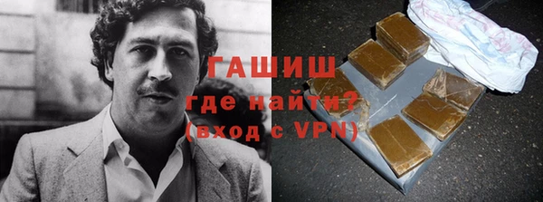 индика Вяземский