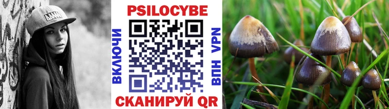 Псилоцибиновые грибы MAGIC MUSHROOMS  Купить закладки  Гаврилов Посад 